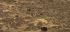 101203phortse0336