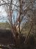 101203phortse0338