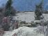 101203phortse0348