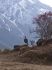 101203phortse0365