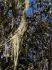101203phortse0293