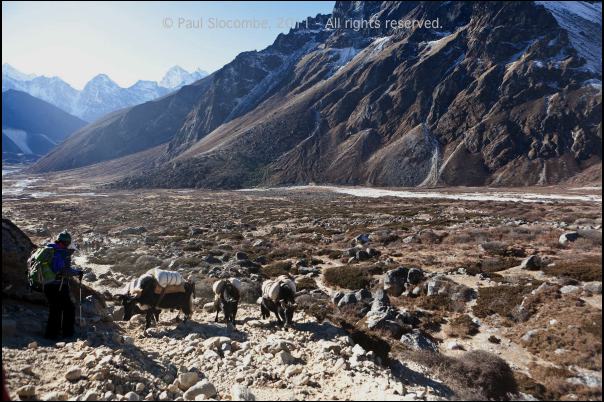 101210tengboche05234