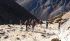 101210tengboche05228