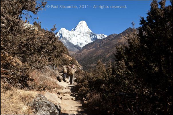101210tengboche05302