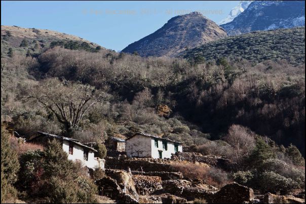 101210tengboche05313