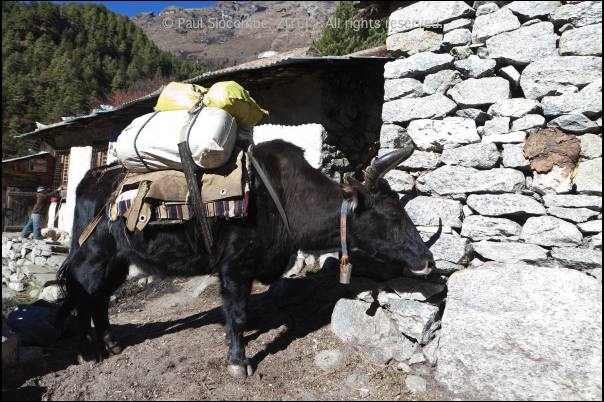 101211namche05436