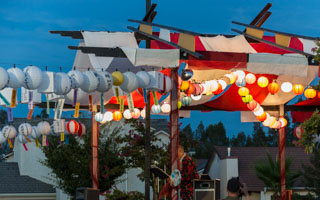 Festival of Lanterns photo