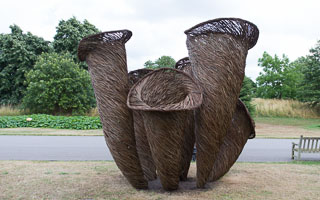 Horn of plenty photo