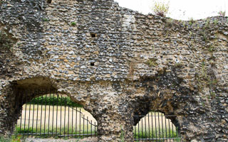 Reading Abbey wall photo