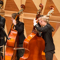 Bassstring ensemble photo