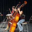 2 bass photo