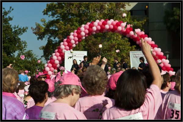 081025raceforcure53002