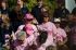 081025raceforcure52970