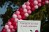 081025raceforcure52923