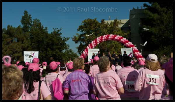 081025raceforcure53029