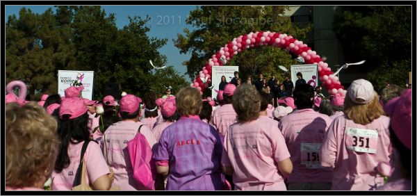 081025raceforcure53030