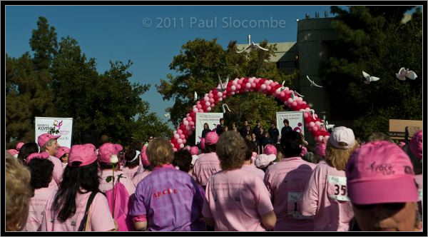 081025raceforcure53031