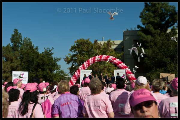 081025raceforcure53032