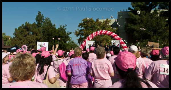 081025raceforcure53033