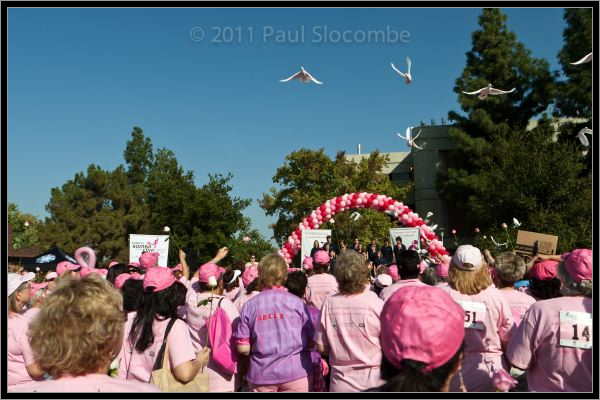 081025raceforcure53034