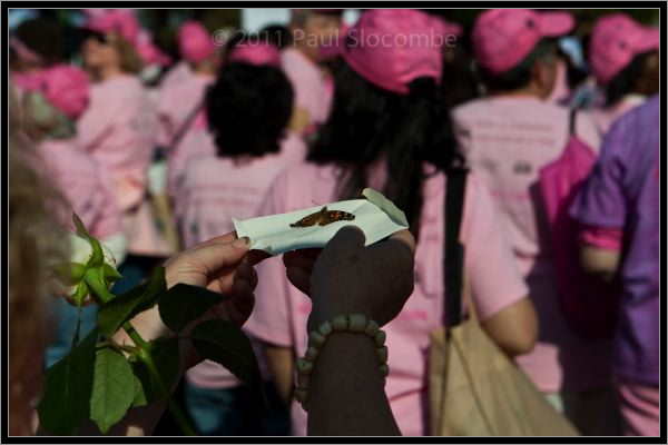 081025raceforcure53045