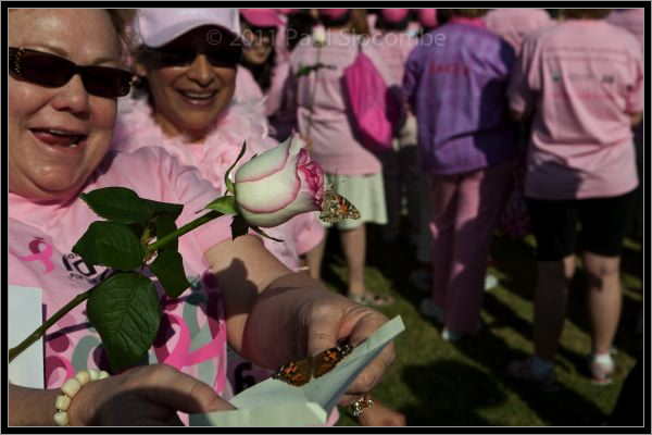 081025raceforcure53058