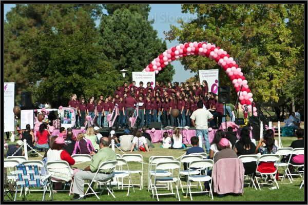 081025raceforcure53076