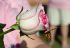 081025raceforcure53055