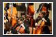 20 UHSOrchestra8232